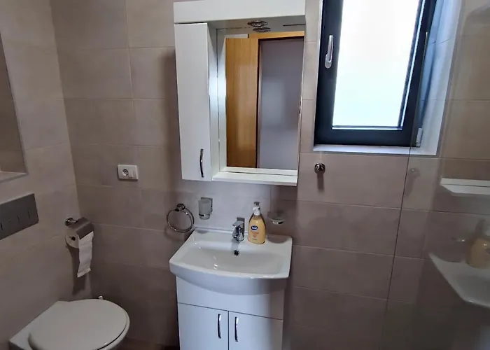 Apartament Apartman Una Sokobanja *